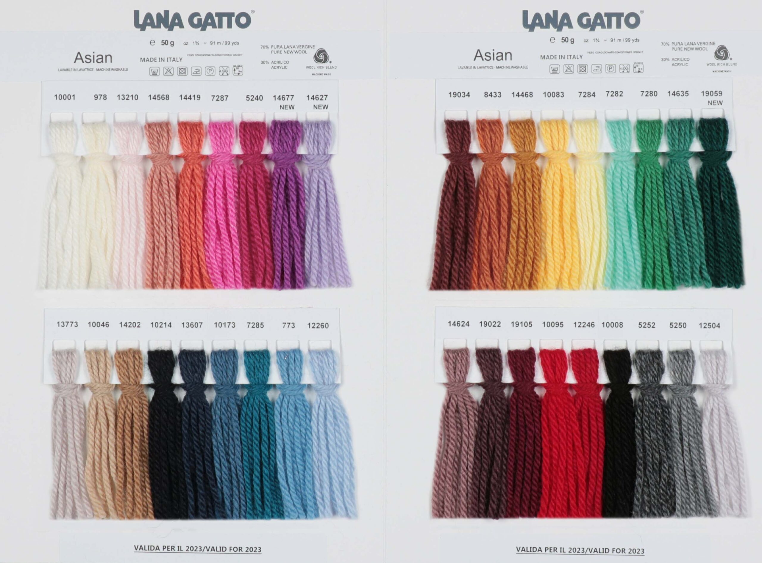Lana Gatto Asian - Image 2